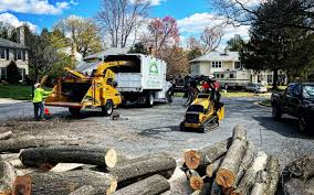 Best Hazardous Tree Removal  in Boley, OK